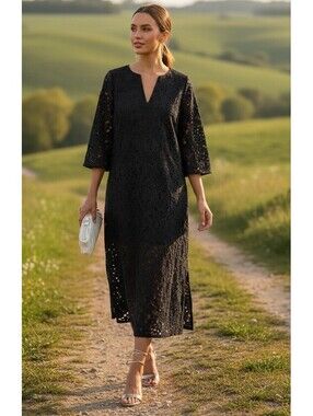 Small Tuckernuck Black Lace Jamie Dress